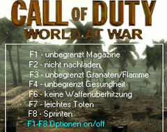 Чит-коды и Трейнер для Call of Duty: World at War
