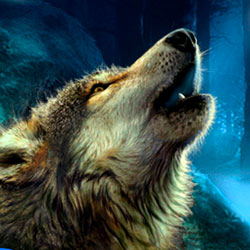 Обложка Тень Волка: Проклятие Полной Луны